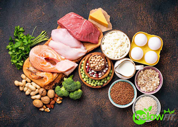 انواع میان وعده های پروتیئنی پر انرژی انواع میان وعده های پروتیئنی پر انرژی